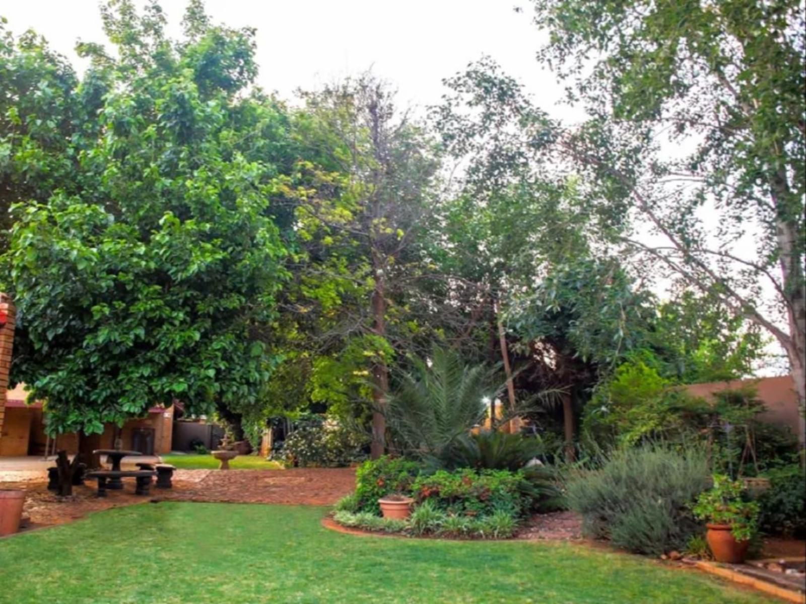 Amity Guesthouse Langenhoven Park Bloemfontein Free State South Africa Palm Tree, Plant, Nature, Wood, Garden