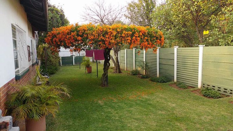 Amizade Guest House Villieria Pretoria Tshwane Gauteng South Africa Plant, Nature, Garden