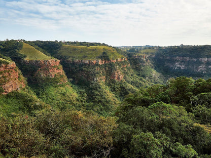 Ammazulu African Palace, Nature