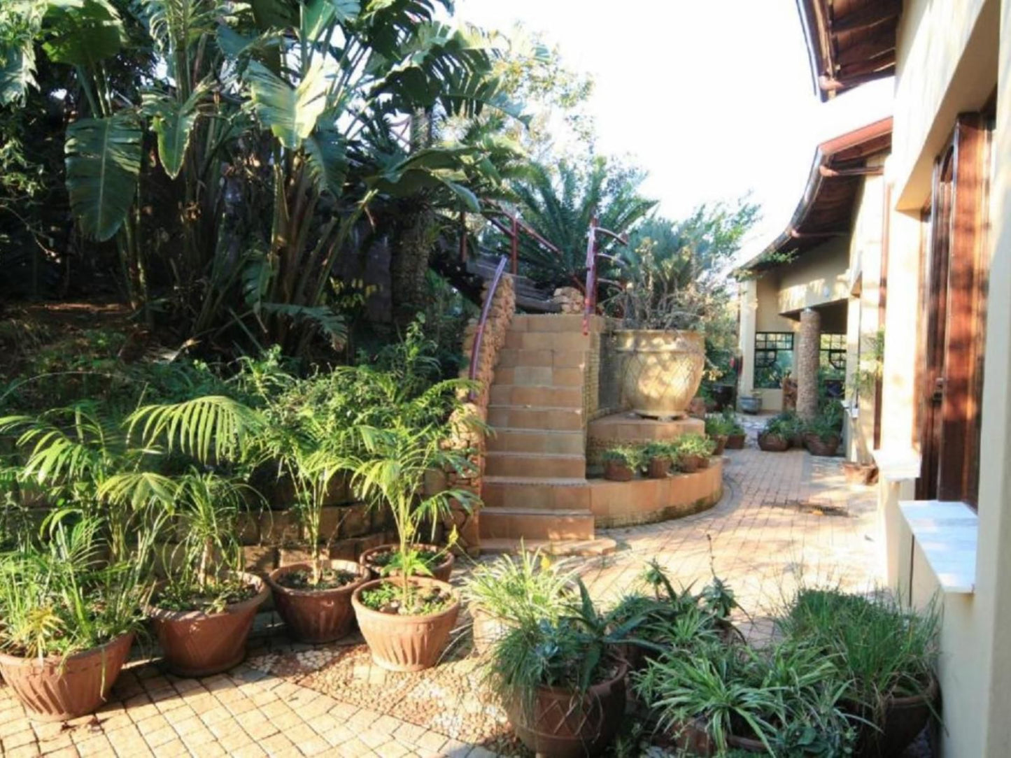 Ammazulu African Palace, Palm Tree, Plant, Nature, Wood, Garden