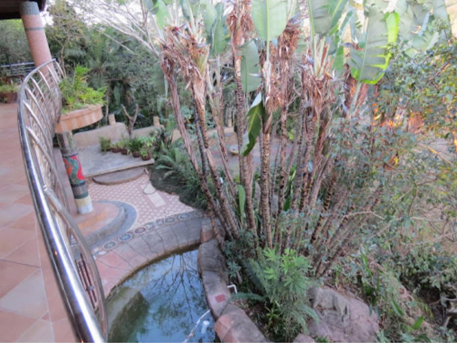 Ammazulu African Palace, Bathroom, Garden, Nature, Plant, Swimming Pool