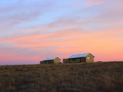 Amohela Ho Spitskop Country Retreat And Conservancy Ficksburg Free State South Africa Complementary Colors, Barn, Building, Architecture, Agriculture, Wood, Lowland, Nature