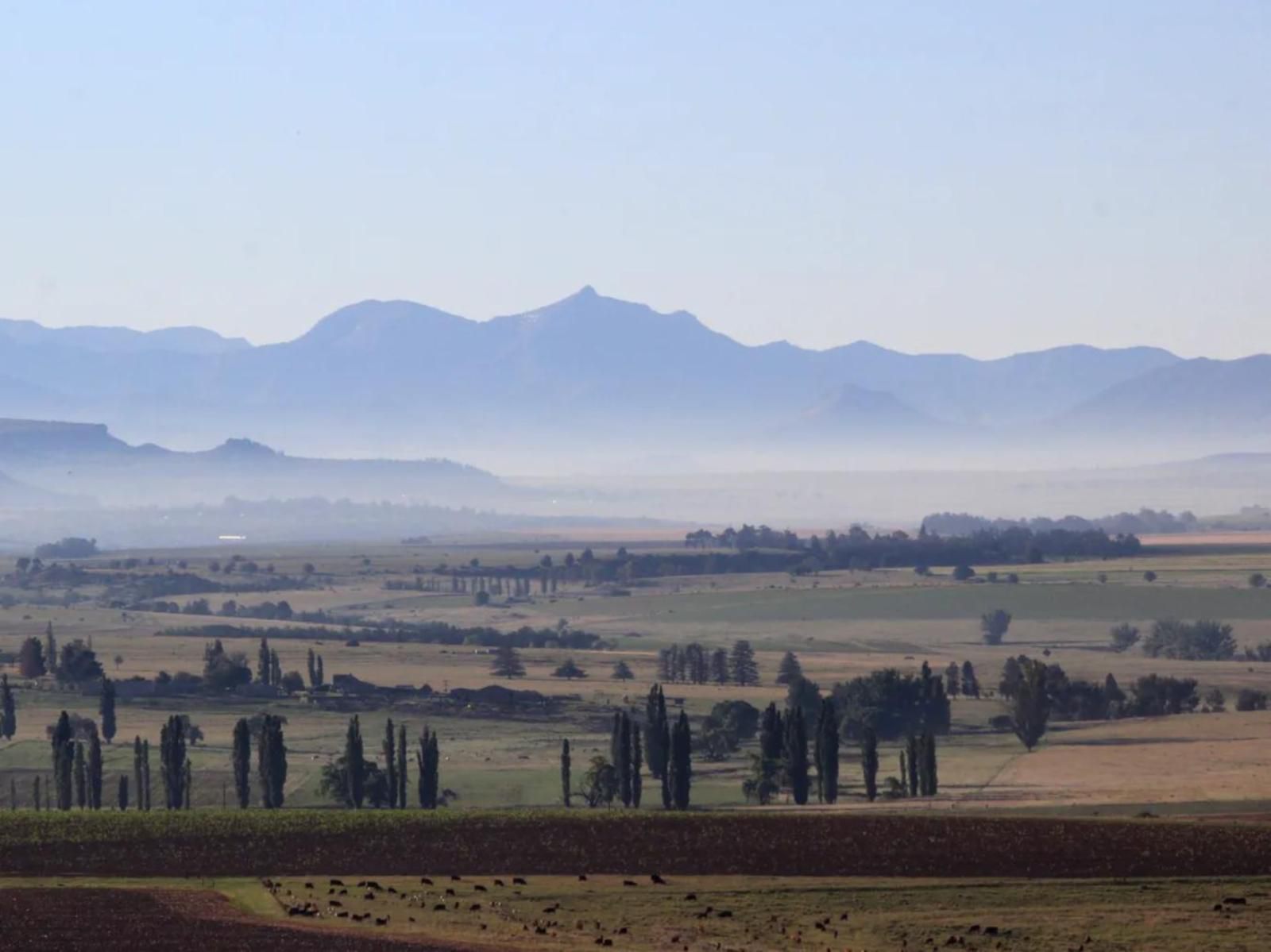 Amohela Ho Spitskop Country Retreat And Conservancy Ficksburg Free State South Africa Field, Nature, Agriculture, Lowland