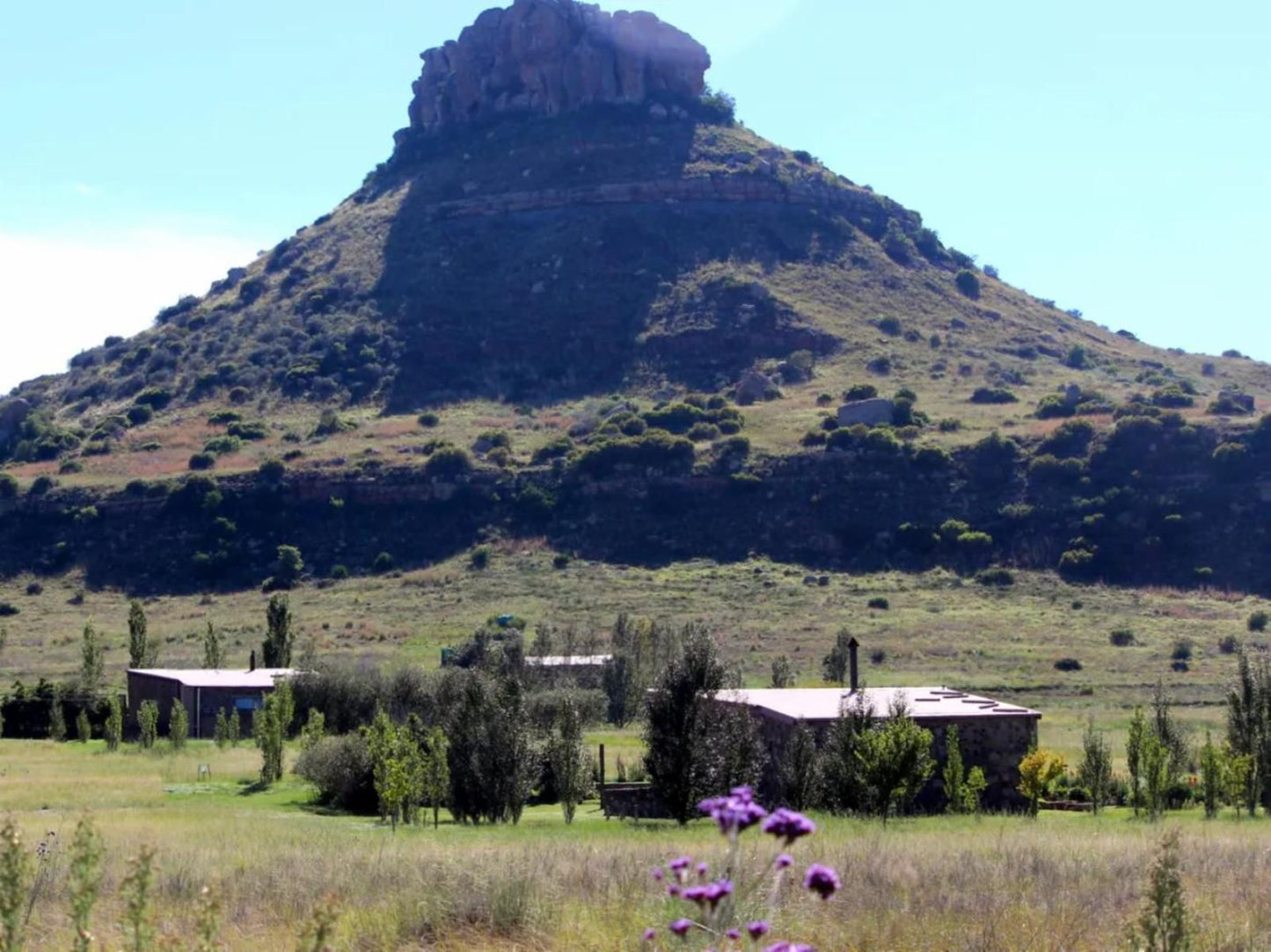 Amohela Ho Spitskop Country Retreat And Conservancy Ficksburg Free State South Africa Nature