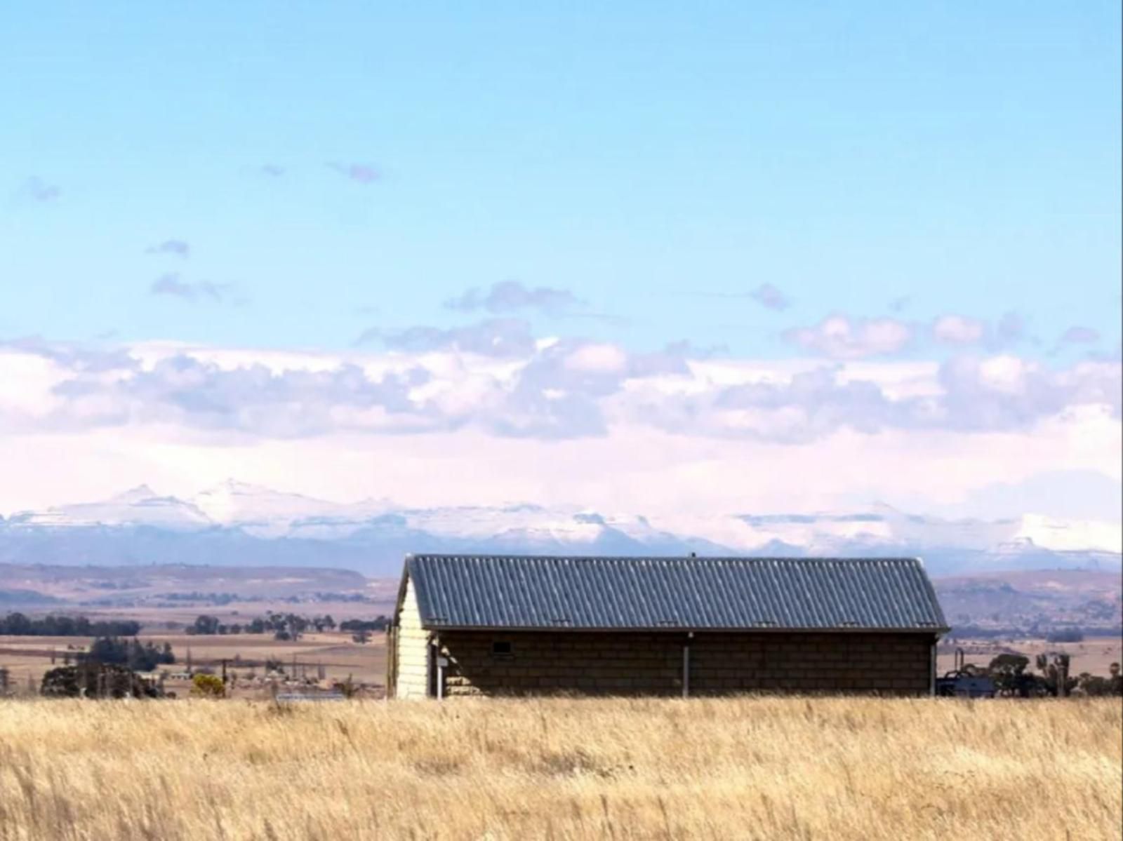 Amohela Ho Spitskop Country Retreat And Conservancy Ficksburg Free State South Africa Complementary Colors, Colorful, Barn, Building, Architecture, Agriculture, Wood, Lowland, Nature