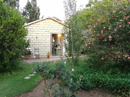 Cornwallis Garden Bedroom @ Amohela Ho Spitskop Country Retreat & Conservancy