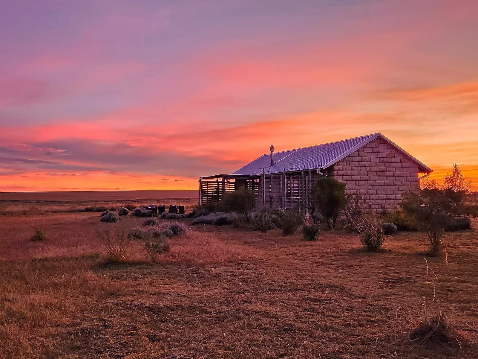 Amohela Ho Spitskop, Lowland, Nature