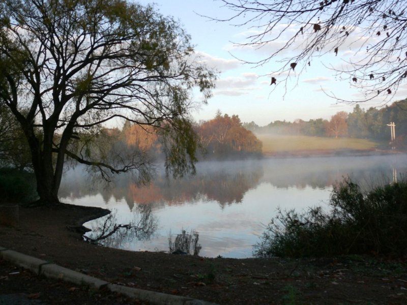 Amongst The Trees Emmarentia Johannesburg Gauteng South Africa Fog, Nature, River, Waters, Tree, Plant, Wood, Autumn