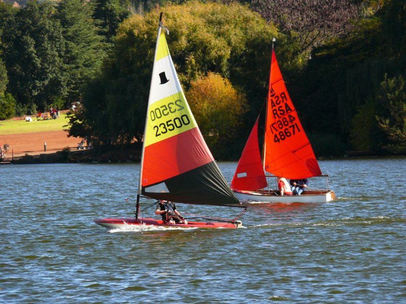 Amongst The Trees Emmarentia Johannesburg Gauteng South Africa Boat, Vehicle, Sailing, Water Sport, Sport, Waters, Nature