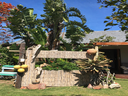 Amor Da Vida Self Catering Craig Bain Port Elizabeth Eastern Cape South Africa Palm Tree, Plant, Nature, Wood, Garden