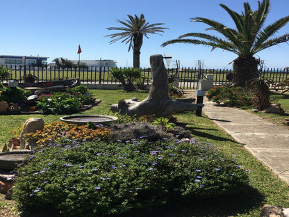 Amor Da Vida Self Catering Craig Bain Port Elizabeth Eastern Cape South Africa Complementary Colors, Palm Tree, Plant, Nature, Wood, Garden