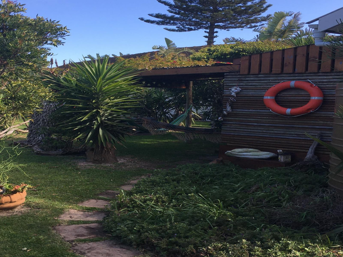 Amor Da Vida Self Catering Craig Bain Port Elizabeth Eastern Cape South Africa Palm Tree, Plant, Nature, Wood, Garden