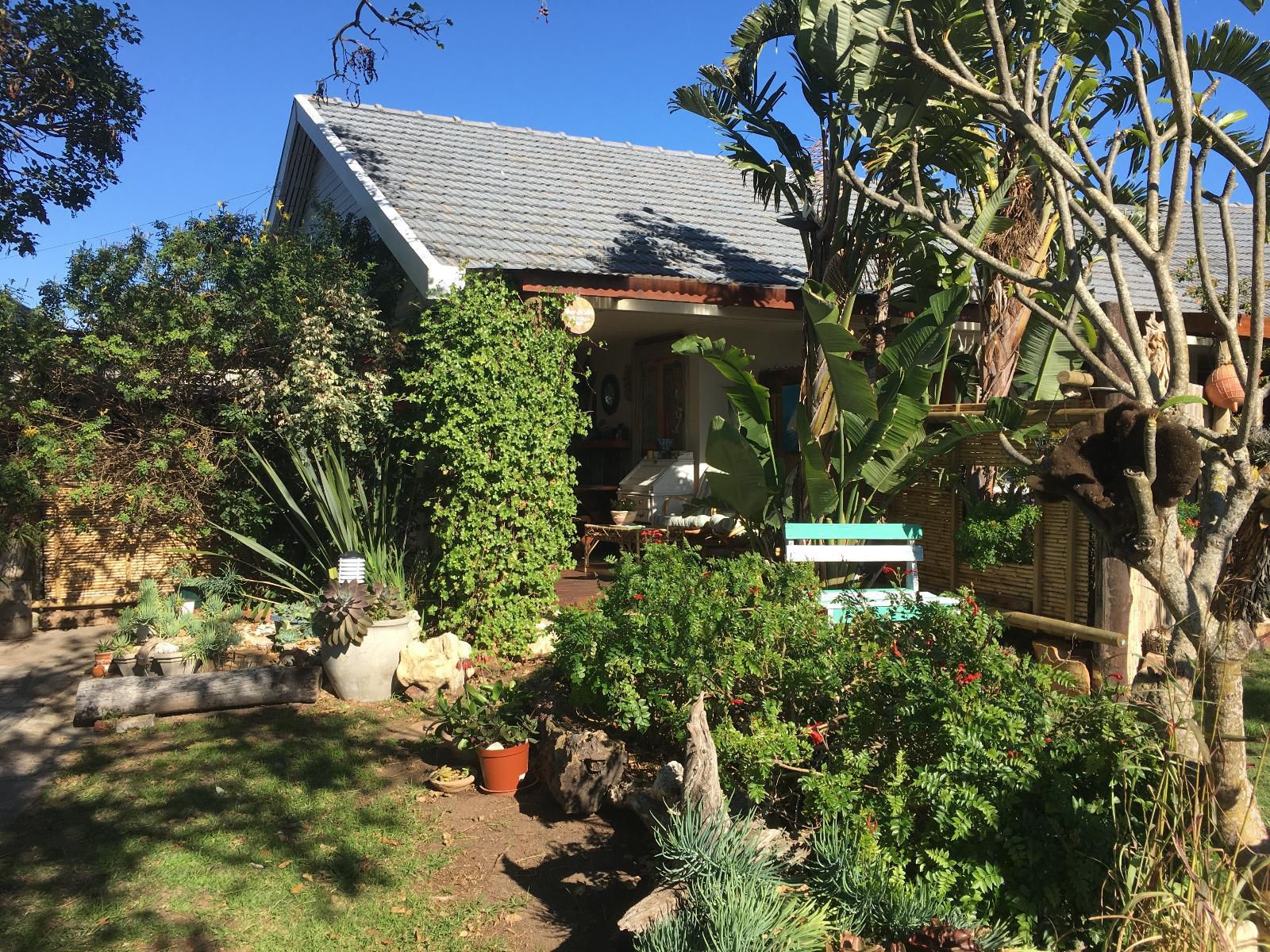 Amor Da Vida Self Catering Craig Bain Port Elizabeth Eastern Cape South Africa House, Building, Architecture, Plant, Nature, Garden