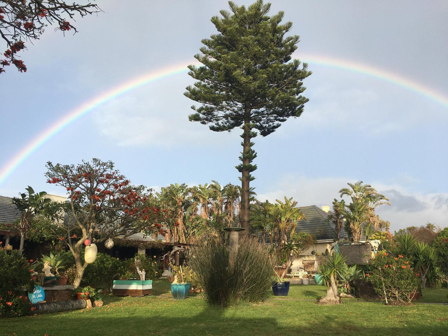 Amor Da Vida Self Catering Craig Bain Port Elizabeth Eastern Cape South Africa Complementary Colors, Palm Tree, Plant, Nature, Wood, Rainbow