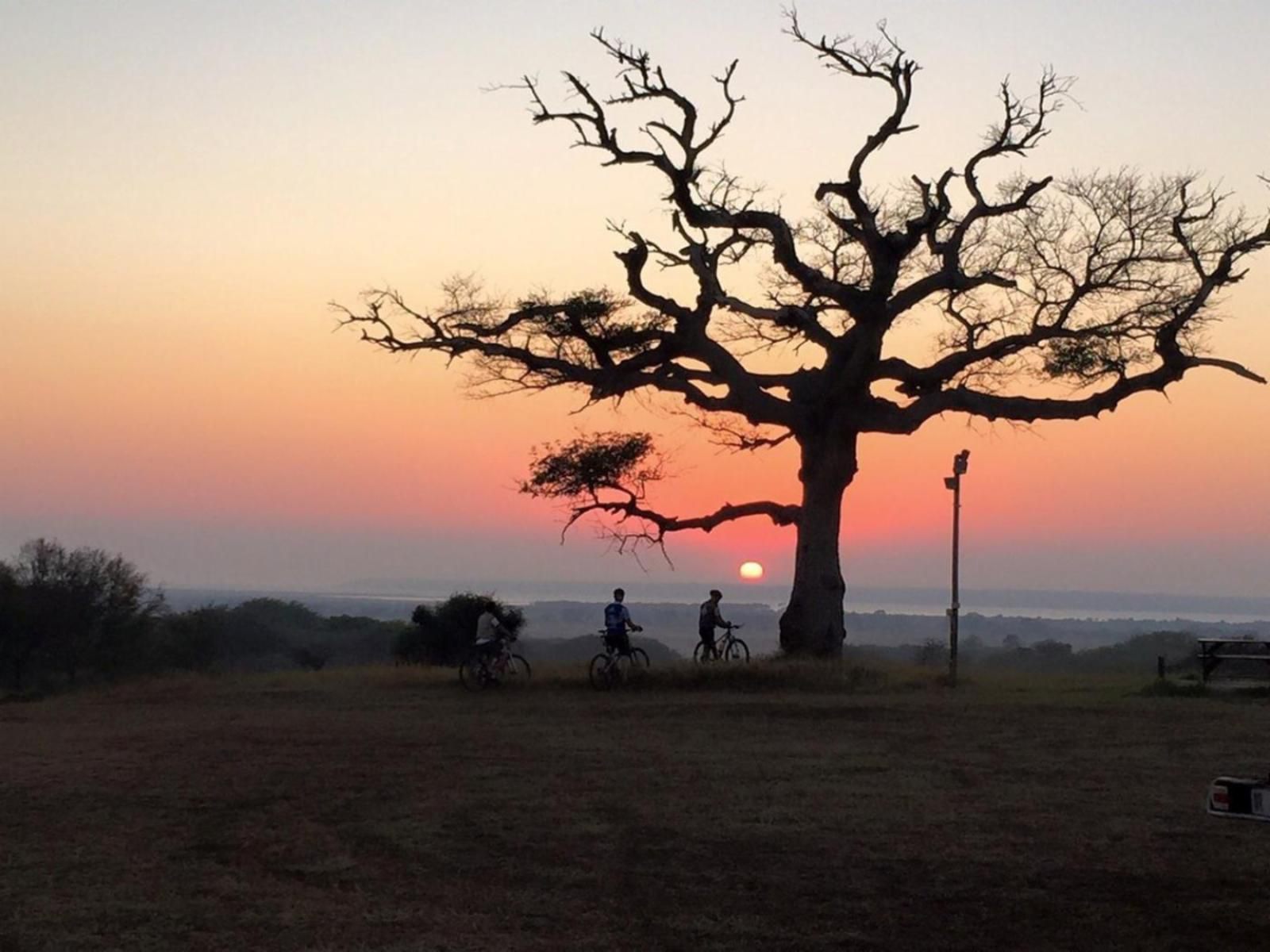 Amorello Africa Bed And Breakfast Hluhluwe Kwazulu Natal South Africa Bicycle, Vehicle, Silhouette, Cycling, Sport, Lowland, Nature, Sunset, Sky