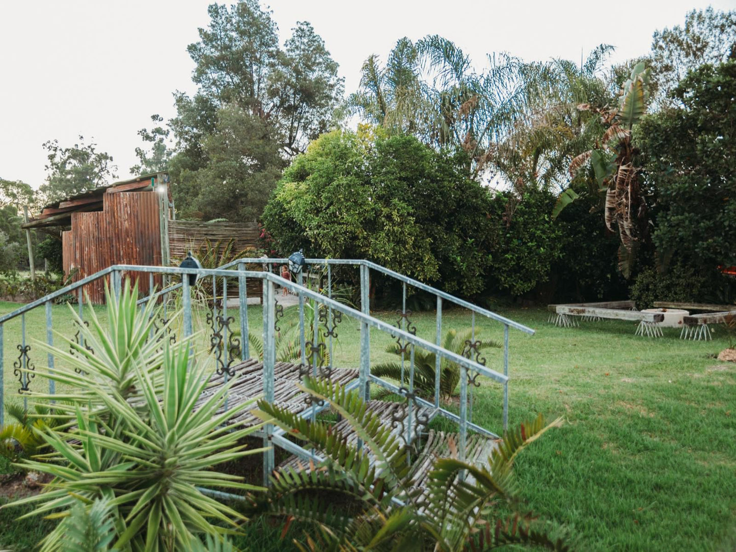 Amperda Log Cabins Tsitsikamma Eastern Cape South Africa Palm Tree, Plant, Nature, Wood, Garden