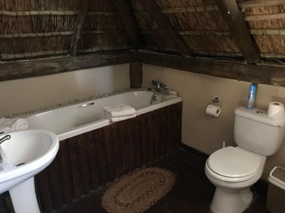 Amritz Private Lodge And Bandb Boshoek North West Province South Africa Bathroom