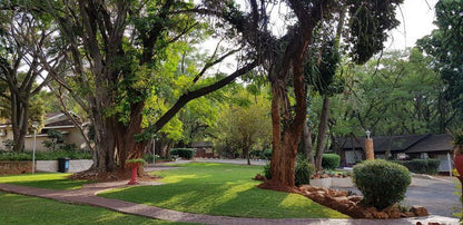 Ananda Lodge Rustenburg North West Province South Africa Palm Tree, Plant, Nature, Wood, Tree, Garden