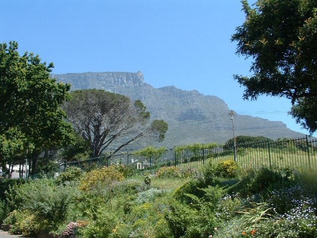 Ambiance Apartment Oranjezicht Cape Town Western Cape South Africa Complementary Colors, Nature