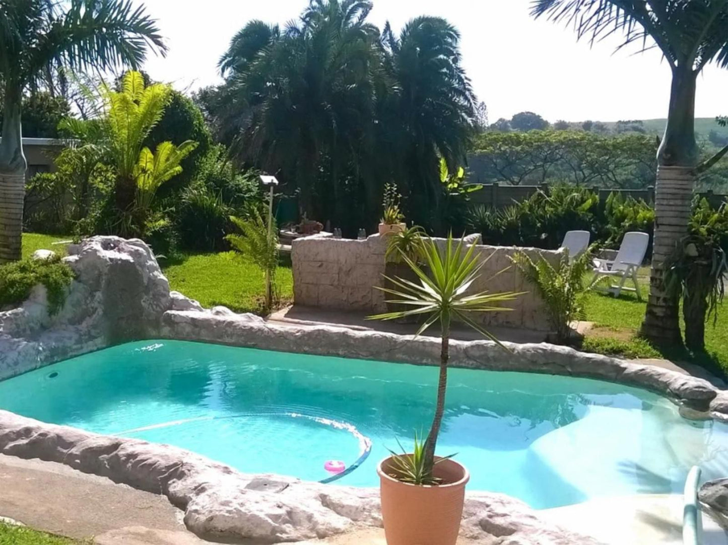 Anchorage Bandb Elysium Kwazulu Natal South Africa Palm Tree, Plant, Nature, Wood, Garden, Swimming Pool