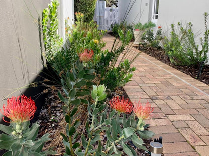 Anchor'S Rest Hermanus, Plant, Nature, Garden