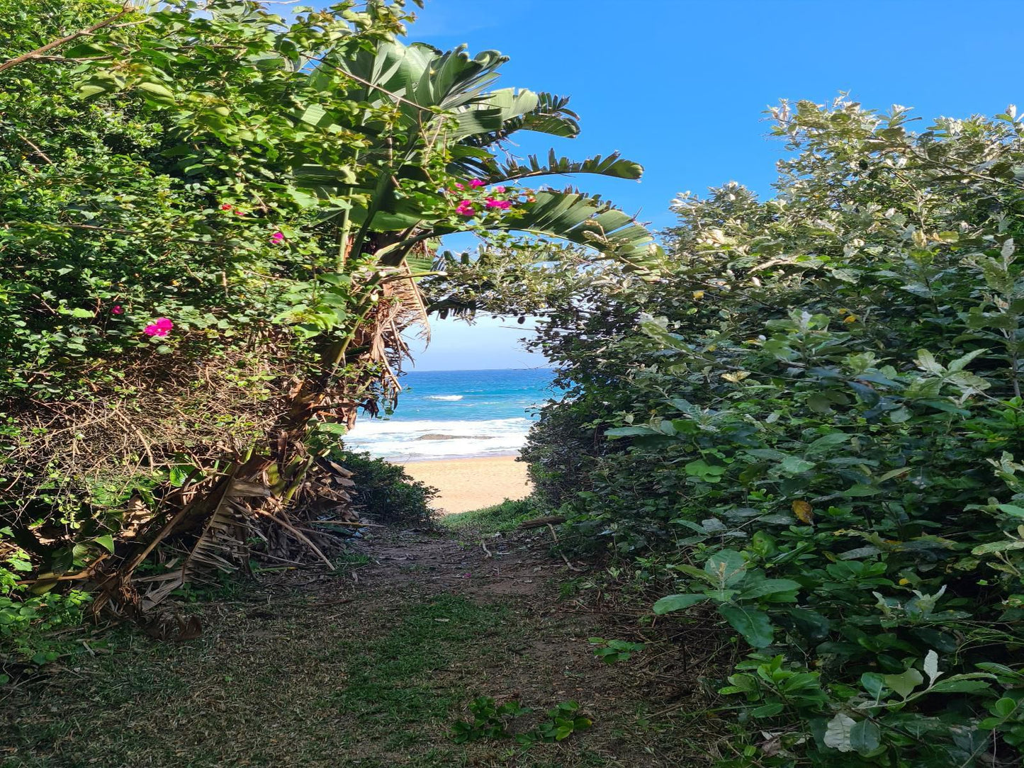 Anchor S Rest Southport Kwazulu Natal South Africa Beach, Nature, Sand, Palm Tree, Plant, Wood