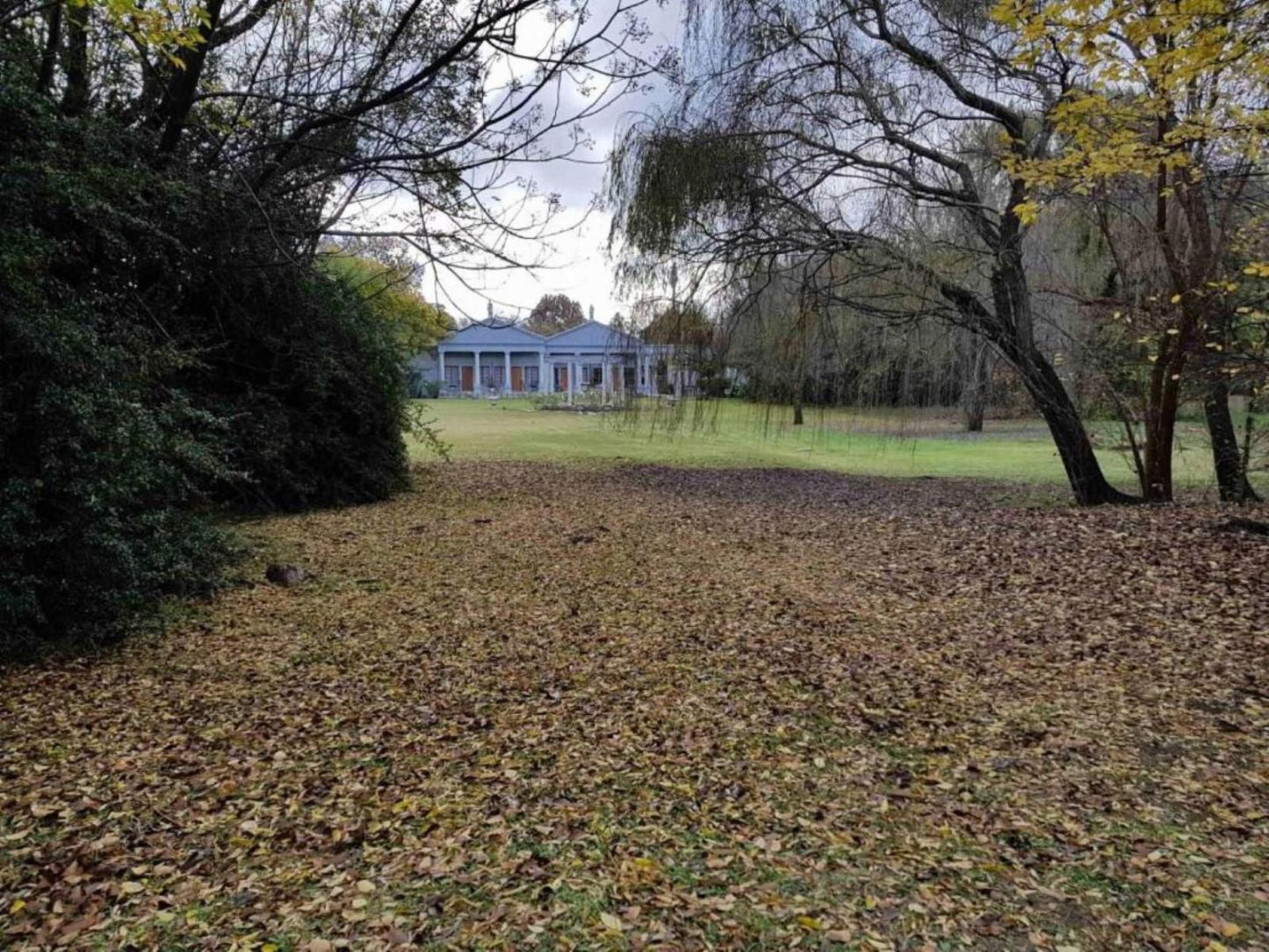 Ancient Emperor Guest Estate Die Bult Potchefstroom North West Province South Africa House, Building, Architecture, Tree, Plant, Nature, Wood, Autumn