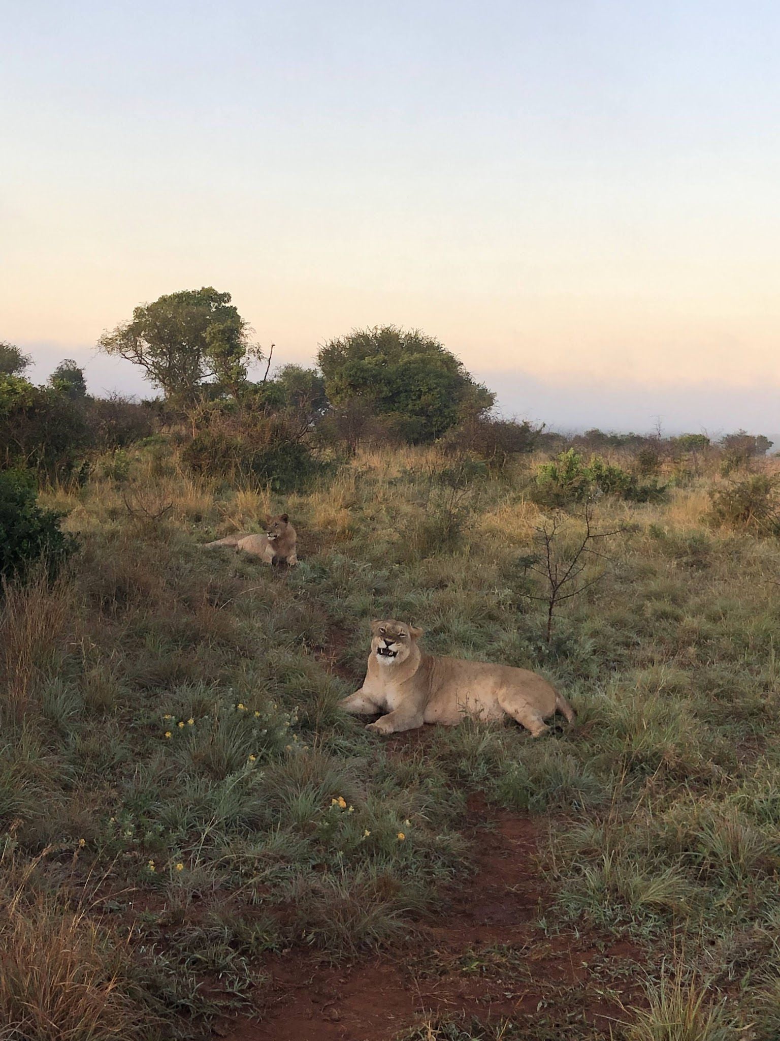  andBeyond Phinda Private Game Reserve