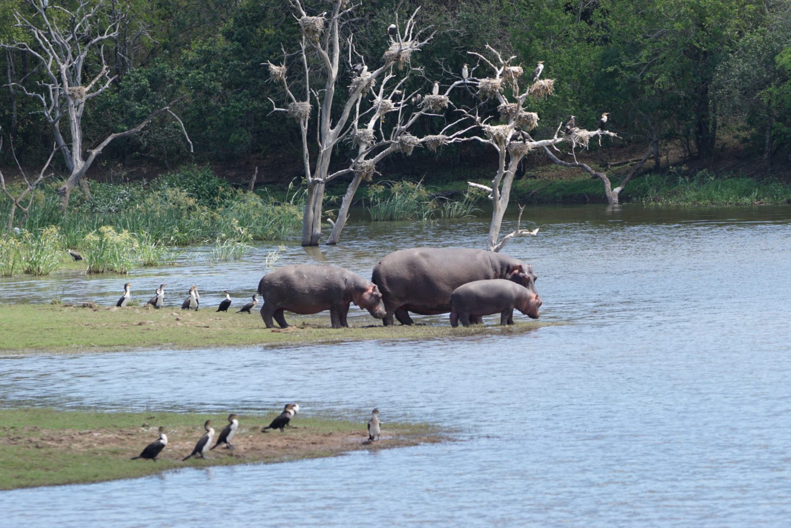  andBeyond Phinda Private Game Reserve