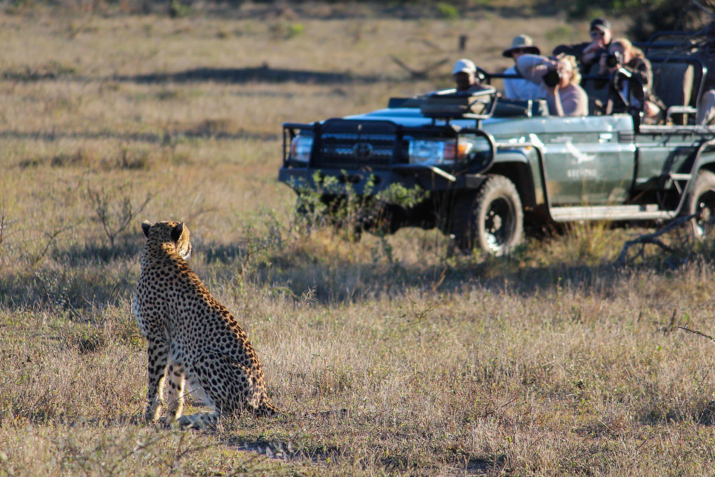  andBeyond Phinda Private Game Reserve