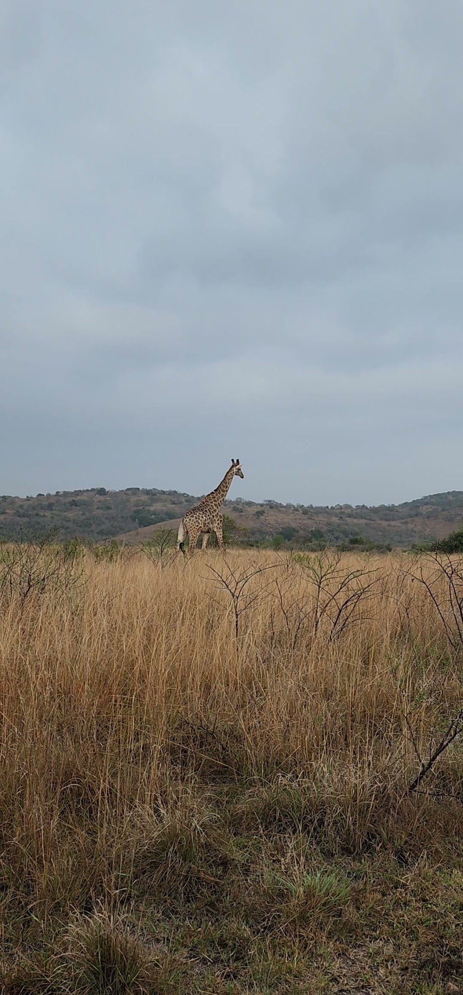  andBeyond Phinda Private Game Reserve