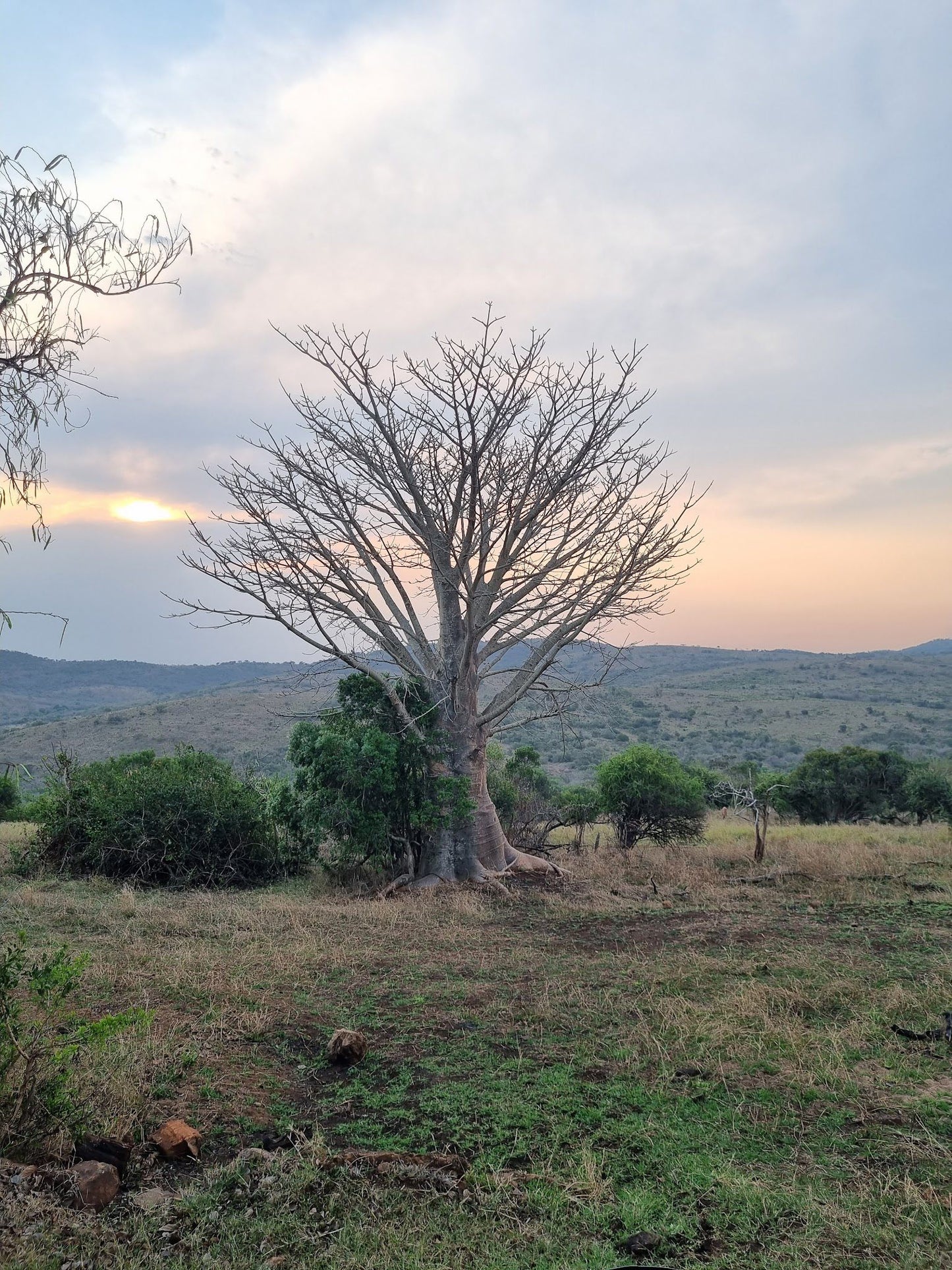  andBeyond Phinda Private Game Reserve