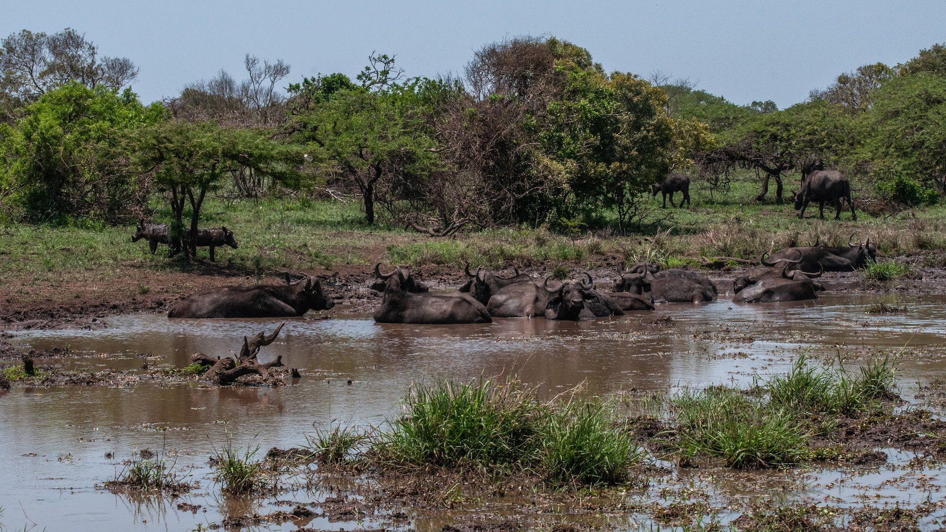  andBeyond Phinda Private Game Reserve