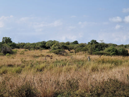  andBeyond Phinda Private Game Reserve