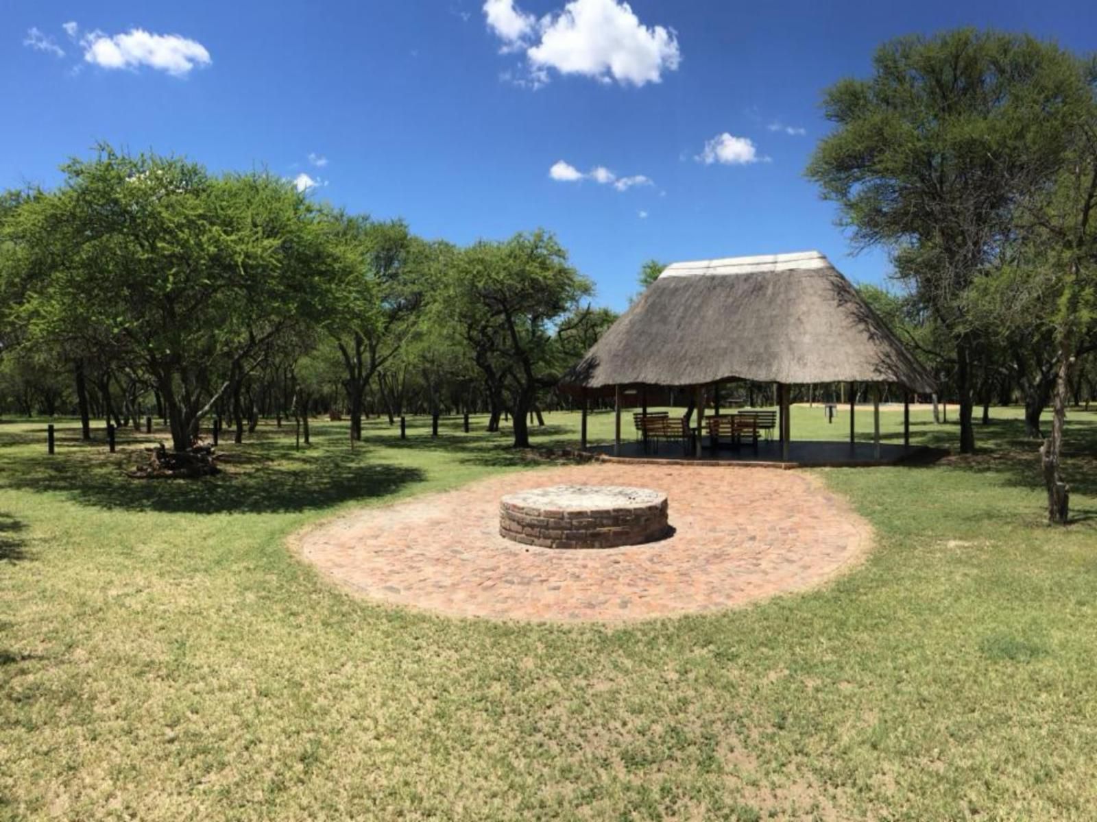 Andante Game Farm Van Alphens Vlei Limpopo Province South Africa Complementary Colors