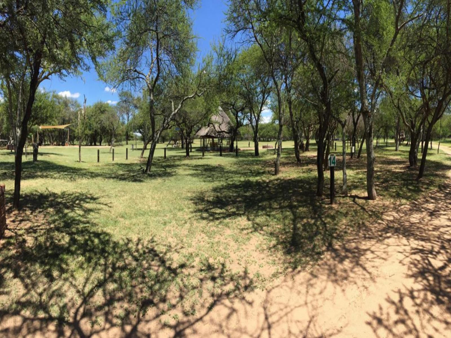 Andante Game Farm Van Alphens Vlei Limpopo Province South Africa Plant, Nature