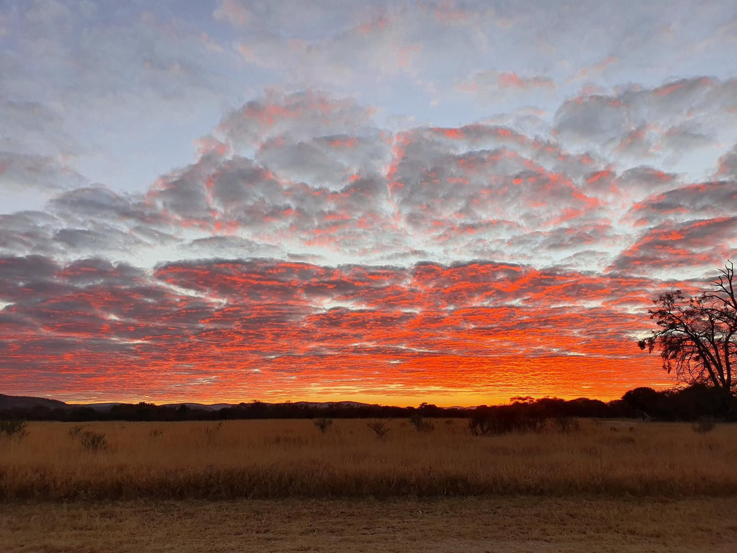 Andante Game Farm Van Alphens Vlei Limpopo Province South Africa Sky, Nature, Lowland, Sunset