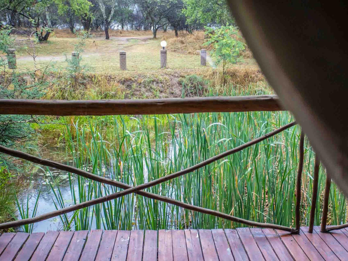 Fountain Suite @ Andante Game Farm