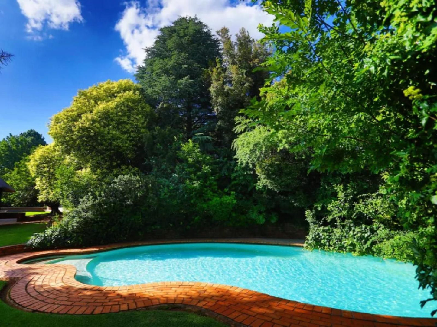 Andante Lodge Elardus Park Pretoria Tshwane Gauteng South Africa Complementary Colors, Garden, Nature, Plant, Swimming Pool