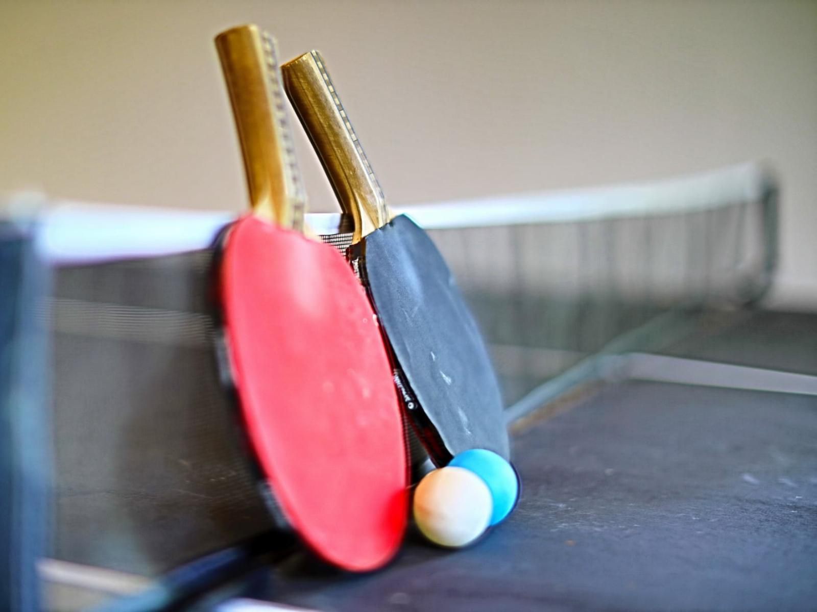 Andante Lodge Elardus Park Pretoria Tshwane Gauteng South Africa Table Tennis, Ball Game, Sport