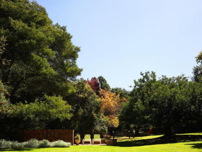 Andante Lodge Elardus Park Pretoria Tshwane Gauteng South Africa Complementary Colors, Plant, Nature, Tree, Wood