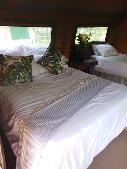 Andova Tented Camp Andover Nature Reserve Mpumalanga South Africa Bedroom