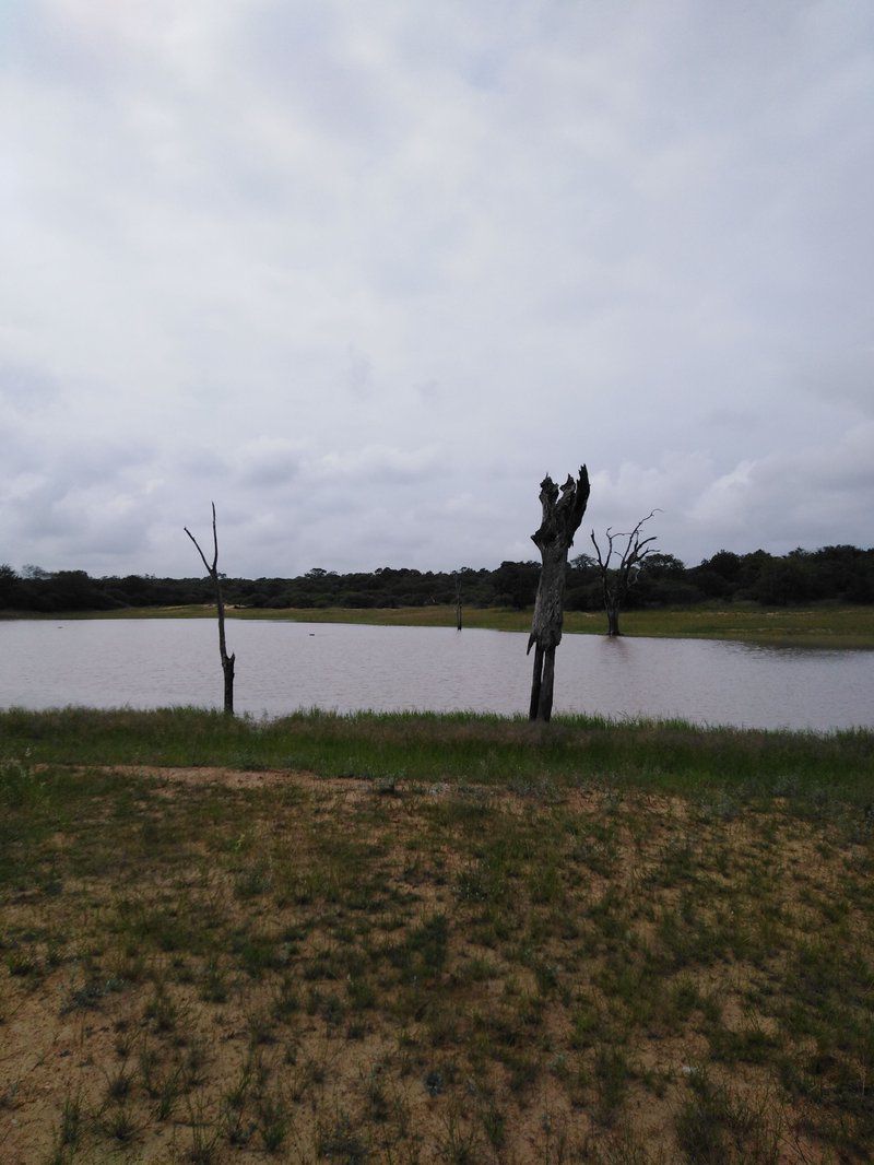 Andova Tented Camp Andover Nature Reserve Mpumalanga South Africa Lake, Nature, Waters, Lowland