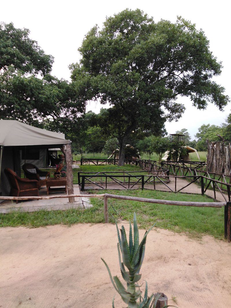 Andova Tented Camp Andover Nature Reserve Mpumalanga South Africa Tent, Architecture