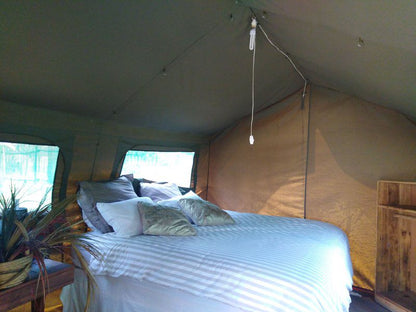 Andova Tented Camp Andover Nature Reserve Mpumalanga South Africa Tent, Architecture, Bedroom