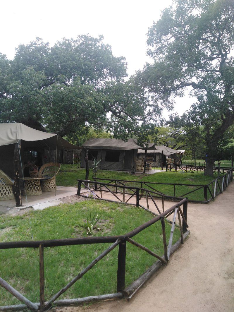 Andova Tented Camp Andover Nature Reserve Mpumalanga South Africa 