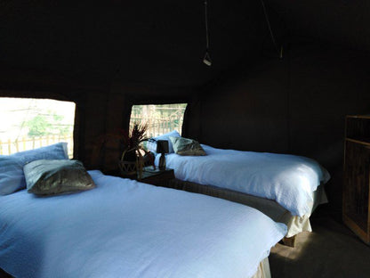 Andova Tented Camp Andover Nature Reserve Mpumalanga South Africa Tent, Architecture, Bedroom