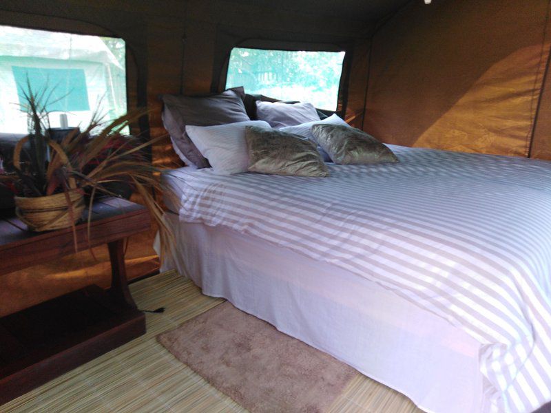 Andova Tented Camp Andover Nature Reserve Mpumalanga South Africa Bedroom