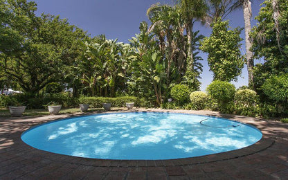 Andreas Guest House Wellington Western Cape South Africa Complementary Colors, Palm Tree, Plant, Nature, Wood, Garden, Swimming Pool