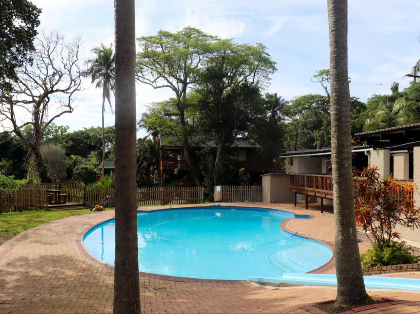 Anerley Garden Park Resort, Palm Tree, Plant, Nature, Wood, Swimming Pool